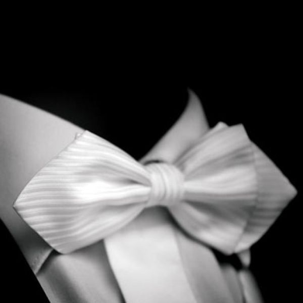 papillon a diamante