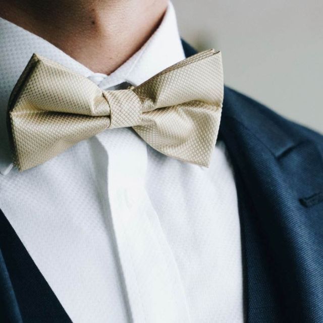 Papillon beige