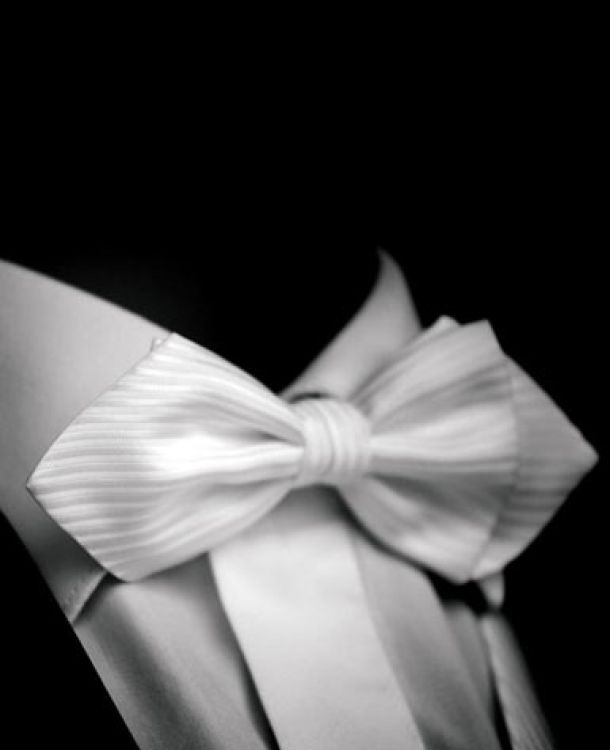 papillon a diamante
